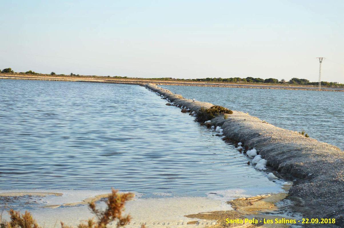 33 SANTA POLA LES SALINES (27).JPG